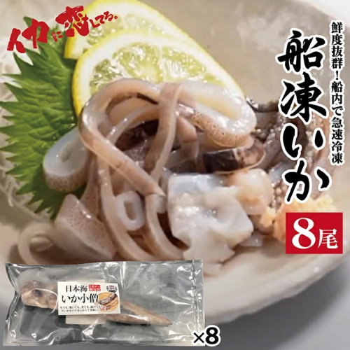 SA0846　船凍いか 1尾入×8パックセット【日本海いか小僧】 126453 - 山形県酒田市