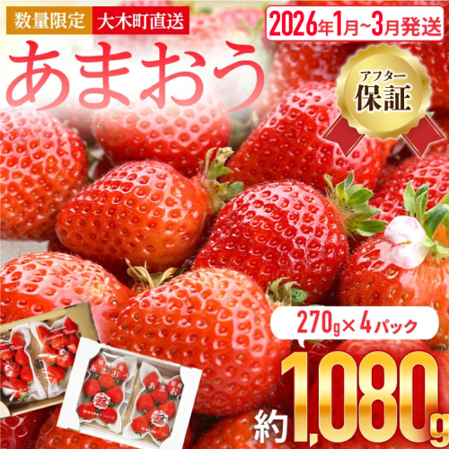 【アフター保証】いちご あまおう 大木町 約270g×4パック 合計1080g 【2026年1月～3月に順次出荷予定】 CB223 126498 - 福岡県大木町