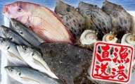 【朝獲れ直送！】天羽漁協　旬の魚介５種セット