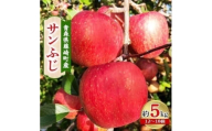 青森県藤崎町産りんご　完熟サンふじ　家庭用　約5kg【1110657】