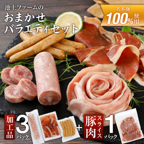 池上ファームのおまかせバラエティセット　AP01 126578 - 福岡県大木町