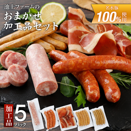 池上ファームのおまかせ加工品セット　AP02 126579 - 福岡県大木町