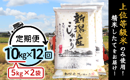 【ふるさと納税】K1012【12ヶ月連続お届け】新潟県産コシヒカリ10kg（5kg×2袋）