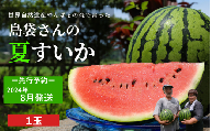 島袋さんの夏スイカ（5～7Kg×1玉）【2024年8月発送】