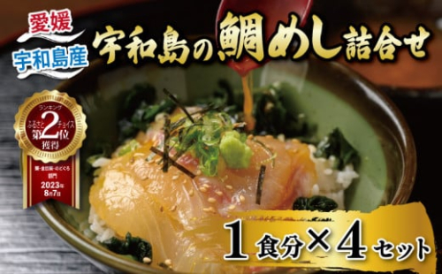 ＼10営業日以内発送／ 鯛めし 4食 セット 辻水産 生鯛めし 真鯛 鯛 マダイ タイ tai 刺身 お刺身 刺し身 漬け丼 漬け 漬丼 丼 丼ぶり 海鮮丼 郷土料理 鯛飯 海鮮 人気 海の幸 魚介 人気加工品 冷凍 小分け パック お手軽 便利 簡単 調理 乗せるだけ 産地直送 国産 愛媛 宇和島 D012-062001