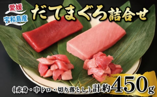 ＼10営業日以内発送／ マグロ 鮪 赤身 150g 1柵  中トロ 150g 1柵 切落し 75g 2パック 詰合せ セット 辻水産 だてまぐろ 詰め合わせ マグロ刺身 とろ maguro ツナ トロ 刺身 お刺身 国産マグロ 漬け ネギトロ 人気 海鮮 魚 産地直送 冷凍 国産 愛媛 宇和島 D024-062005