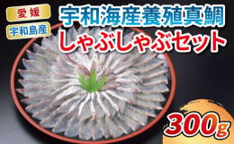 もっとも有名な春の桜鯛は、上品であっさりした美味、そして食欲の秋には、脂の乗り切った紅葉鯛をガッツリと豪快に！！真鯛は数ある魚の中で、１年を通して最も味落ちが少ないため、魚の王様と言われています。宇和