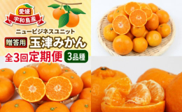 美味しいみかんの産地「玉津地区」で収穫されたみかん3品種をそれぞれの旬の時期に発送いたします。季節の柑橘を3ヶ月連続でお届けいたします｡旬の品種を食べ比べることができる､柑橘好きにはたまらない定期便で