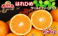 はれひめ 5kg ワールドファーマーズ 果物 フルーツ 柑橘 みかん 数量限定 産地直送 農家直送 国産 愛媛 宇和島 B012-024005