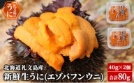 【先行予約】 北海道 礼文島産 新鮮生うに（ エゾバフンウニ）40g×2個 ウニ 雲丹