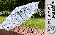 12-013自動開閉式折りたたみ傘（白×青）