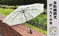12-014自動開閉式折りたたみ傘（白×緑）