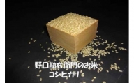 【5年産】野口勘右衛門のお米 「安心栽培米（コシヒカリ）」玄米10kg