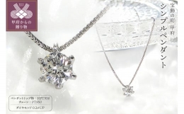 【ふるさと納税】HPｔ950（ハードプラチナ950）【D SI EX H & C】ダイヤモンド0.2ctシンプルペンダント K027913-H
