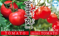 【朝どり直送】高糖度トマト＆ミニトマト「宝玉丸」2.7kg【冷蔵便】