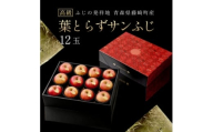 厳選・高級 葉とらずサンふじ 特A 12玉 元祖ふじりんご 青森林檎【1221715】