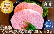 No.152 【葉山牛】500g　サーロインステーキ ／ 牛肉 黒毛和牛 神奈川県 特産品