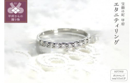 [サイズ:11号][ 甲府ジュエリー ]HPt950(ハードプラチナ950)[D SI EX H&C]ダイヤモンド0.3ctエタニティリング K027908-H