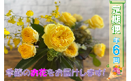 (1601)長門産 季節のお花の定期便（年6回毎月コース）