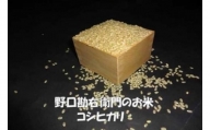 【5年産】野口勘右衛門のお米「安心栽培米（コシヒカリ）」玄米20kg(10kg×2)