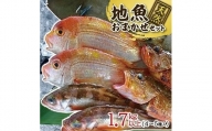 511　地魚おまかせセット　4～5種類入り計1、7kg以上