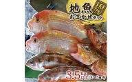 518　地魚おまかせセット　4～5種類入り計3、5kg以上