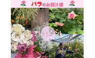 (1257)フラワー　花　バラ　バラ園　アレンジメント　お届け便　山口県