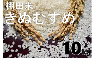 (1028)【令和6年度産予約受付】米　精米　白米　棚田米　「きぬむすめ」　10kg