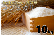 (1263)米　精米　白米　特別栽培米　穂垂米　「コシヒカリ」　10kg　【令和5年産】