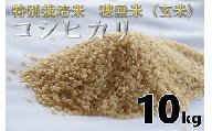 (1264)米　玄米　特別栽培米　穂垂米　「コシヒカリ」　10kg　【令和5年産】