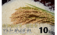 (1265)米　精米　白米　特別栽培米　穂垂米　「ひとめぼれ」　10kg　【令和5年産】