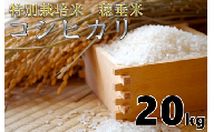 (1401)米　精米　白米　特別栽培米　穂垂米　「コシヒカリ」　20kg　【令和5年産】