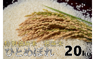 (1402)米　精米　白米　特別栽培米　穂垂米　「ひとめぼれ」　20kg　【令和5年産】