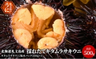 北海道 礼文島産 採れたて キタムラサキウニ 塩水パック 100g×5 生うに 生ウニ  塩水うに