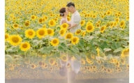 【SUNSET FARM OKINAWA 撮影サービス】きらめきプラン