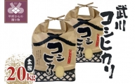 【令和5年米】山梨県産武川コシヒカリ 玄米20kg(10kg×2袋)