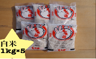 お米 千葉産 品種 マンゲツモチ 白米 5kg もち米【 もち米　白米　千葉 】[№5346-0104]