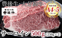 【ふるさと納税】Ｃ−５３ おおいた豊後牛 サーロイン ステーキ 500g (250g×2枚)