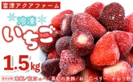 富津アクアファーム　冷凍完熟いちご 1.5kg