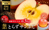 ≪先行予約≫ 【訳あり】 葉とらずサンふじ 中～大玉 約3kg (8～11玉) 【アップルアーク】 青森りんご 林檎 リンゴ ご家庭用 葉取らずりんご 発祥の地 果物 くだもの フルーツ おすすめ 青森県産 藤崎町 F41-0004