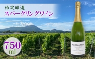 [№5525-0710]スパークリングワイン 2022 限定醸造 北海道 伊達市産ぶどう使用 ぶどう フレッシュ フルーティー シャープ