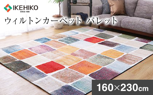 ウィルトンカーペット パレット 160×230ｃｍ ラグ イケヒコ・コーポレーション AA438 127302 - 福岡県大木町