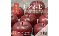 ＜産地直送＞サンふじ　贈答用約3kg(7～10個)【1361566】