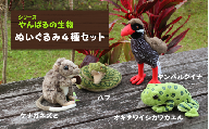 ぬいぐるみ４種セット【天然記念物/日本固有種】～やんばるの生き物シリーズ～