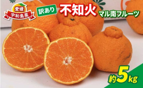 訳あり 不知火 ( デコポン と同品種) 5kg マル南フルーツ 先行予約 果物 くだもの わけあり 訳あり品 フルーツ 柑橘 蜜柑 みかん 不知火みかん mikan ミカン グルメ お取り寄せ 訳アリ 訳あり品 デザート ビタミン 愛媛県産 愛媛みかん 愛媛ミカン 愛媛蜜柑 数量限定 国産 愛媛 宇和島 B010-106022