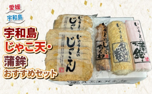 ＼10営業日以内発送／ 手押し じゃこ天 蒲鉾 おすすめ セット 井上蒲鉾本舗 練物 手押しじゃこ天 蒲鉾 揚げかまぼこ 揚巻 じゃこ竹輪 ちくわ 竹輪 小魚 すり身 練り物 冷蔵 惣菜 フライ おでん 具 出汁 小分け 酒 おつまみ 詰め合わせ 詰合せ 水産 加工品 特産品 郷土料理 国産 愛媛 宇和島 C015-003003