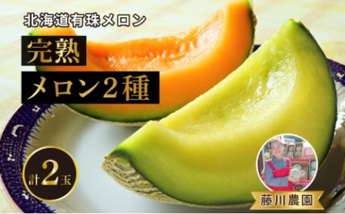 [№5525-0845]北海道産 有珠メロン 2玉 セット 赤肉 青肉 Lサイズ 1.6kg以上 各1玉 食べ比べ ツル付き 果物 めろん フルーツ くだもの 完熟 旬 ご褒美 ギフト お祝い 産地直送 お取り寄せ 北海道 藤川農園 送料無料 伊達