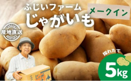【オンライン決済限定商品】【先行受付】【お届け：2025年9月中旬〜11月下旬】北海道伊達市より、ふじいファームのじゃがいも「メークイン」を産地直送でお届けします。美味しいジャガイモを、ぜひお楽しみく