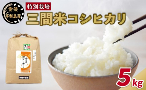 令和8年産 新米 特別栽培米 三間米 コシヒカリ 5kg 伊勢本農園 特別栽培 米 お米 おこめ ごはん こめ コメ ※ kome 白米 精米 お弁当 ブランド米 ふっくら ツヤツヤ 甘い 粘り 美味しい ライス 農家直送 産地直送 数量限定 国産 愛媛 宇和島 G015-146001