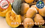 [№5525-0853] 北海道 かぼちゃ じゃがいも セット 合計10kg ジャガイモ 馬鈴薯 ポテト 芋 イモ カボチャ パンプキン 緑黄色野菜 甘い ほくほく 農作物